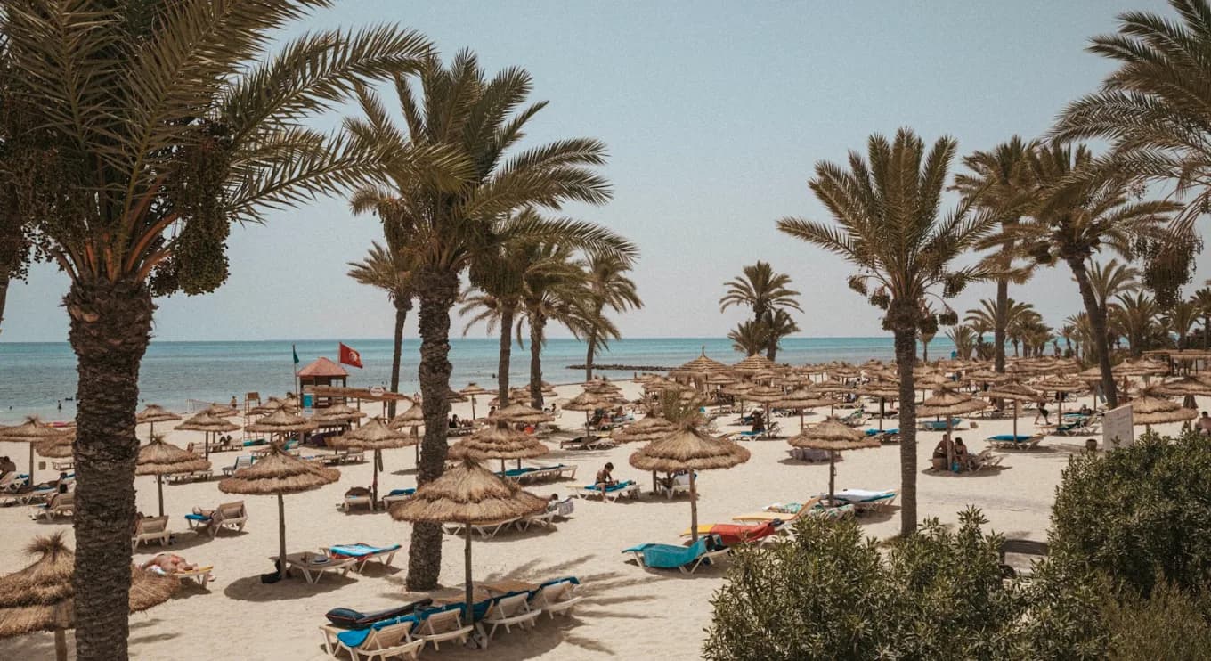 Djerba Backdrop